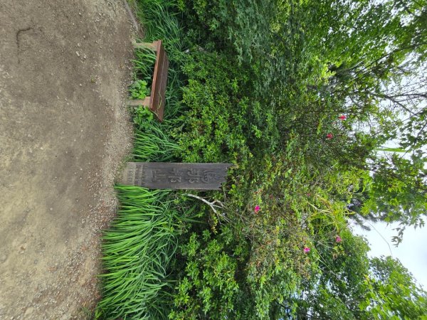 夏日的馬那邦山2786857