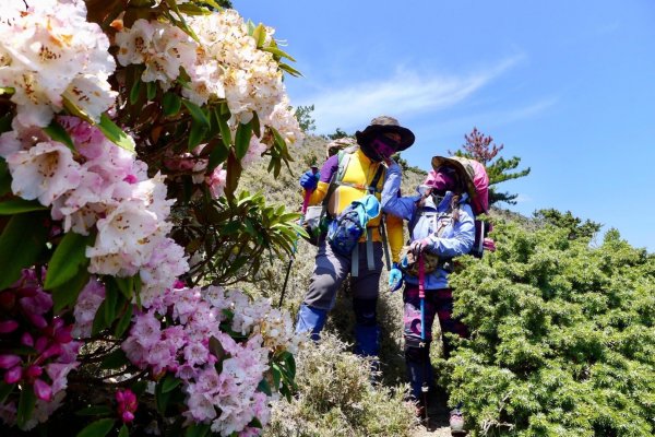 百岳回憶錄1885363