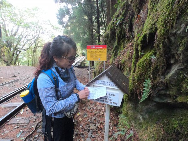 2023尋訪消失的眠月線聚焦失落沉寂的百年鐵道之旅2109672