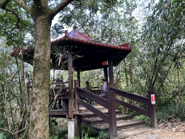 關子嶺雞籠山步道+大凍山2909447