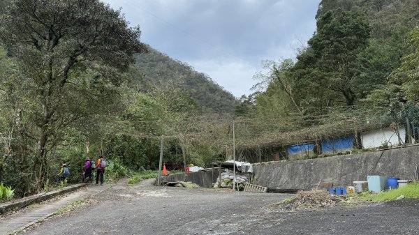 親民石階路線的平溪二尖|石筍尖 |薯榔尖|峯花雪月2698063