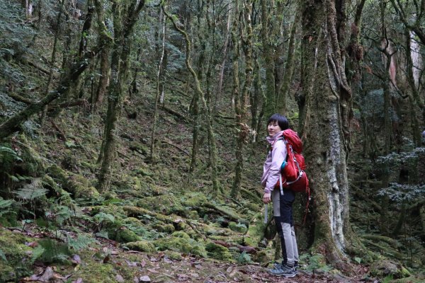 2020-12-12 八仙山1216299