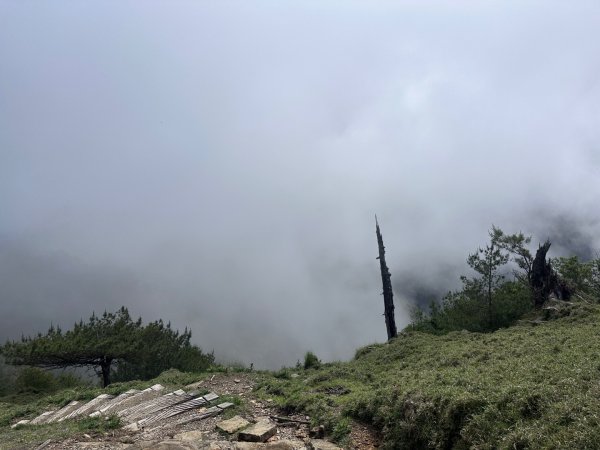 鹿林前山、鹿林山、麟趾山O繞縱走2799648