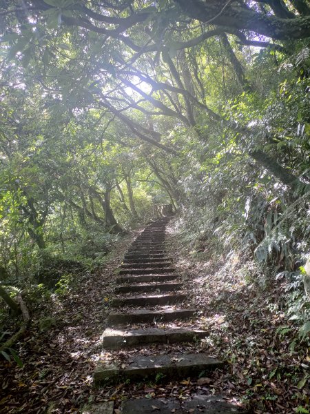 中正山步道-竹子湖來回1361704