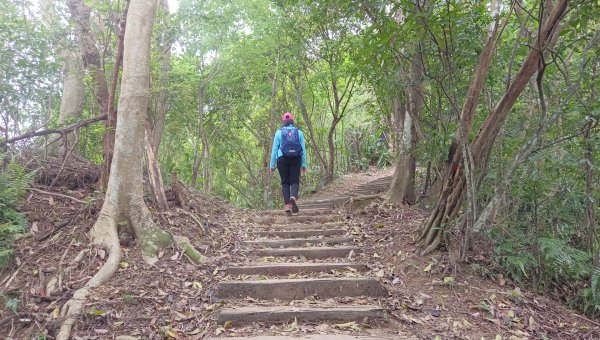 (姨婆趴趴走)第五十二集:新北新店攀登和美山及灣潭山2761095