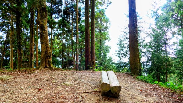 油羅山(一上三下)2959187