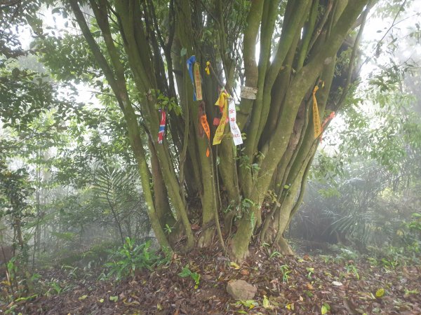 人生之中有點可怕的登山行程......玉女山、金童山及汶水山1552814