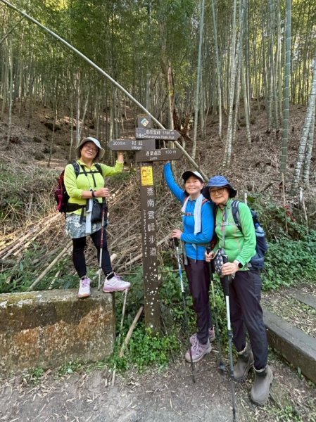九穹神木 左訪嘉南雲峰 右到好望角看風景上石壁山(小百岳#55)2944803
