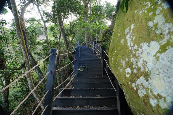 台中 和平 埋伏坪山2924988