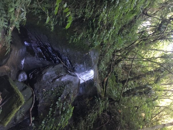 六寮崙山、雞罩山、白雞山8字走2371110