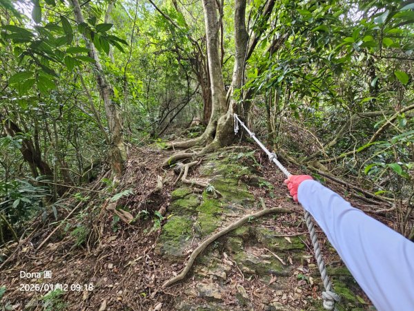 20260112月扇湖山&四分子古道O走+烏塗溪步道2986510