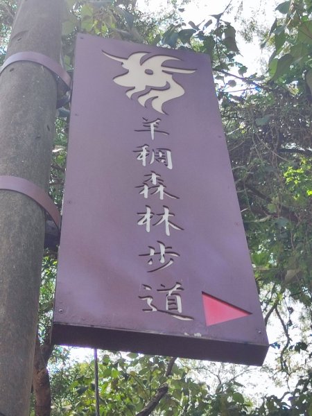 夏日甲蟲祭典（羊稠森林步道，龜山福源山-山佳車站）2826599