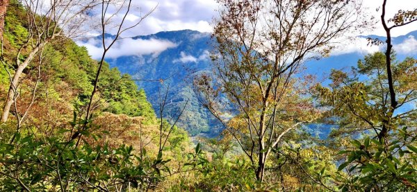 【中級山】谷關七雄波津加山2742330