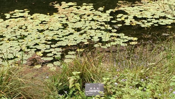 福山植物園964647