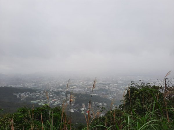 2023/01/23 桃園大棟山(小百岳)，樹林大同山，青龍嶺2003263