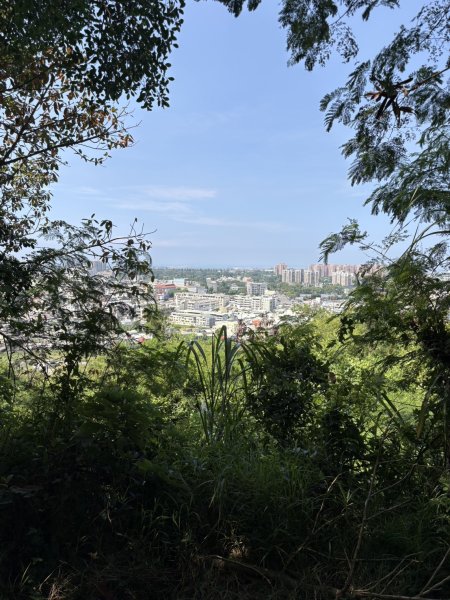 20251012高雄半屏山步道2915124