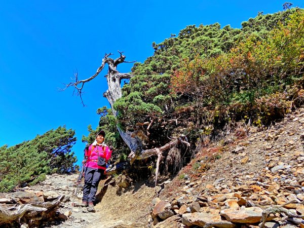 終於踏上十峻之首玉山東峰202010071125071