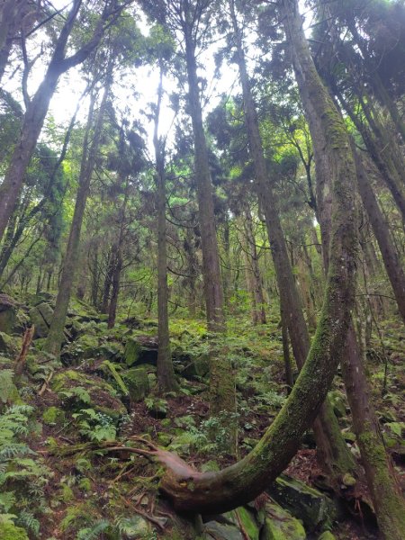 橫沙笛/橫嶺山、沙蓮山、笛吹山2799344