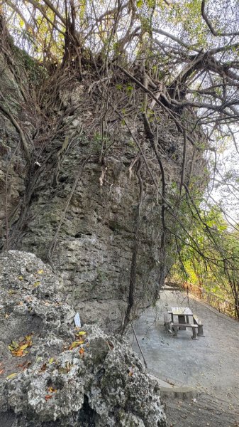 尋仙、鑽洞、啖肥雞3002771