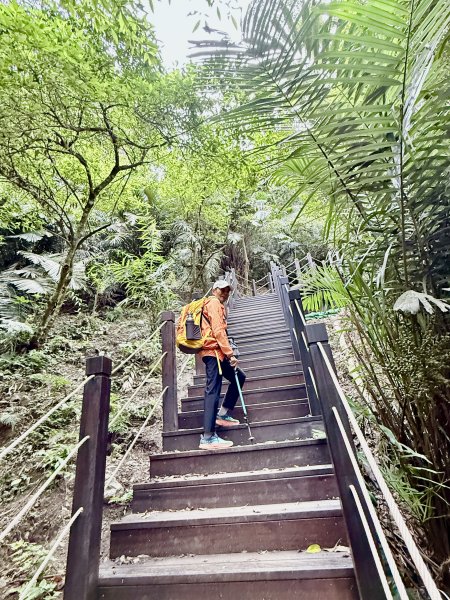 雪山坑步道悠遊順訪雪山坑山(再訪)  2025.12.32953735