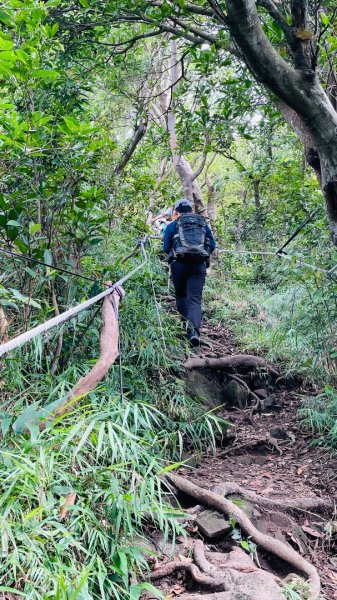 占山+小北插2863657