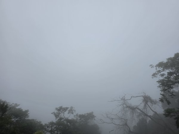 小百岳No.50⛰集集大山3120470