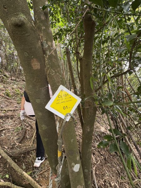 20250816高雄旗尾山2914592