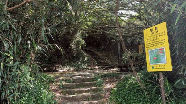 大屯山主峰步道3067619