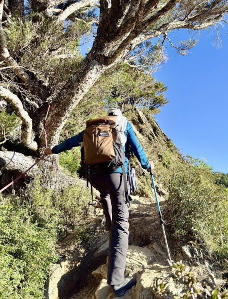 合歡北峰散步趣  2025.10.152923192