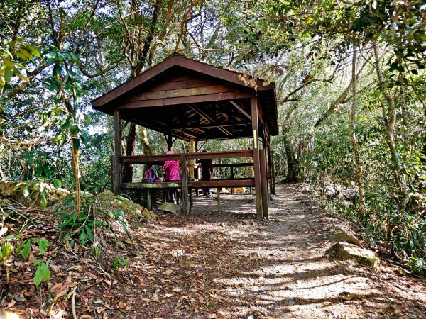 東卯山-谷關七雄(老五)2991587