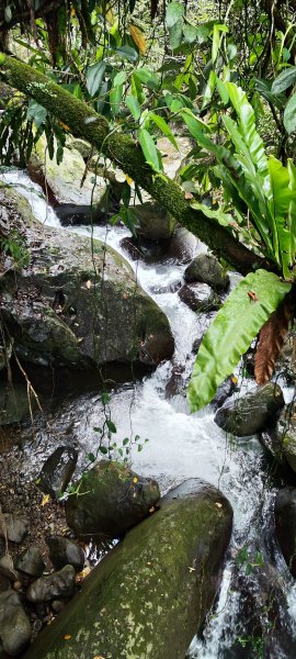 新竹內灣．馬胎古道202506212823506