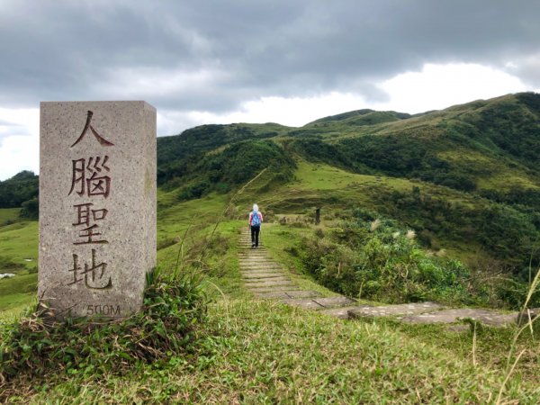 桃源谷秋芒四射草嶺731071