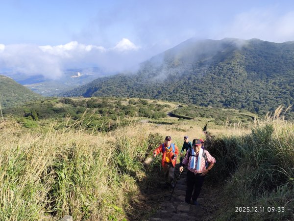 【臺北大縱走 2】【第二回合全程完成證書】鞍部→大屯山步道→大屯山主峰→大屯坪步道→二子坪步道2960354