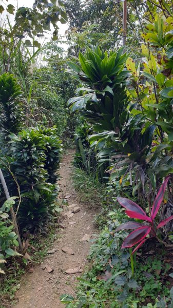 烘爐地文筆山造鎮1067407