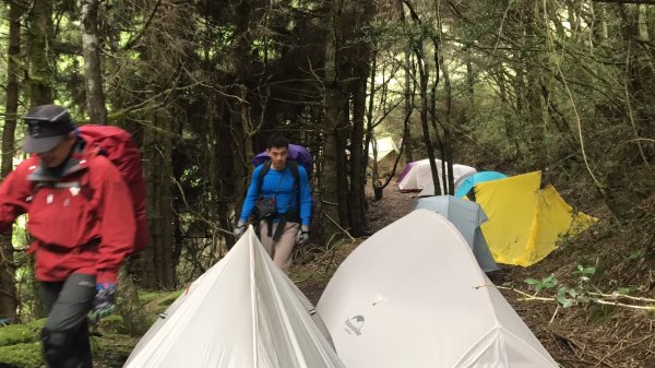 台中和平 花蓮秀林 鈴鳴/閂山600454