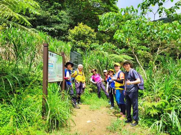 【盛夏消暑步道】桶後越嶺古道1739507