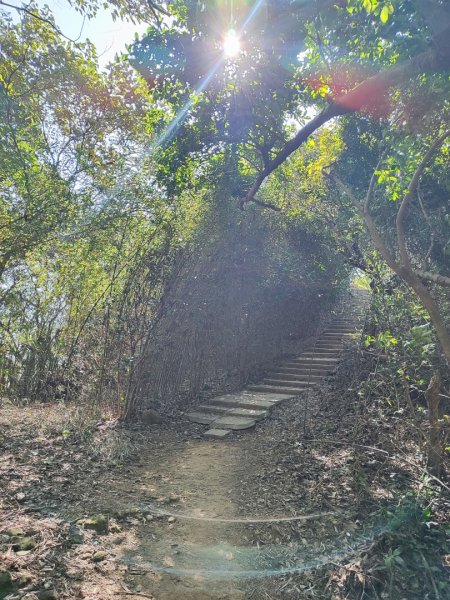 龜山福源山-牛灶坑山-鶯歌火車站走春遊2701331