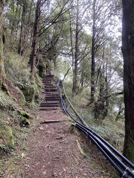 阿里山水山療癒步道3064228