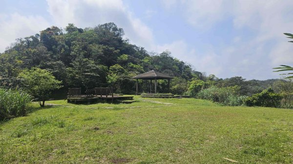 20260323后番仔坑山-內平林山-新路尾山-頂坑山-三貂嶺中心點3023699