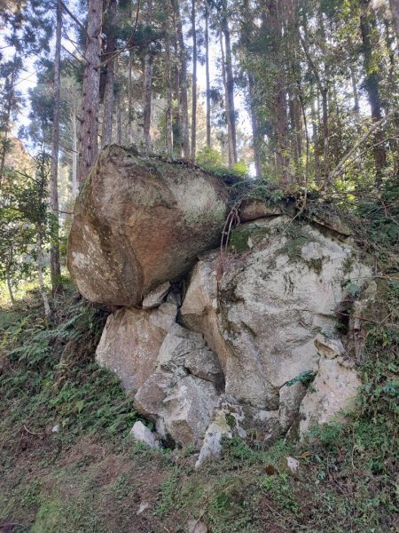 油羅山-新竹縣五峰鄉2426639