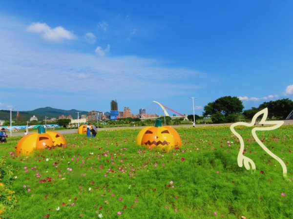 ［大佳河濱公園］［向日葵］2329578