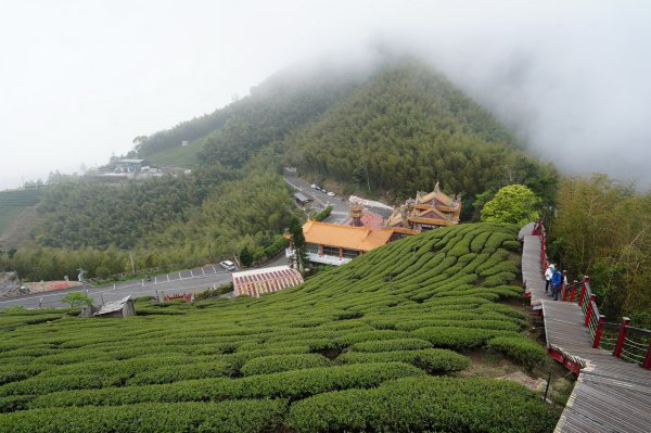 嘉義 梅山 太平山、梨子腳山、馬鞍山、二尖山、大尖山、碧湖山2748986