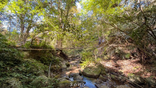 雪山坑環線步道2988754