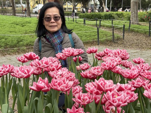 士林官邸~鬱金香2717324