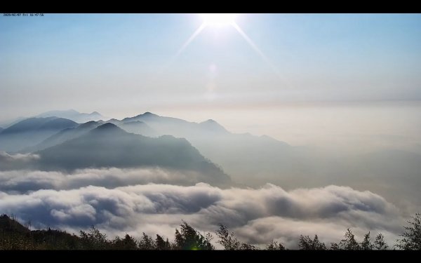 阿里山雲瀑&雲海/富士山直播即時視訊827052