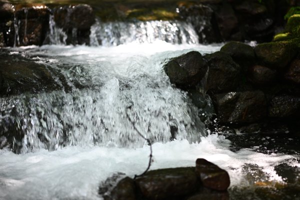 2025_0628 大羅蘭溪古圳步道(福山馬岸)2825223
