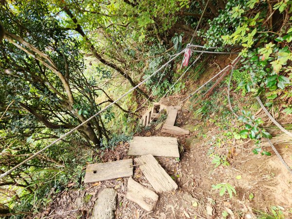 小百岳集起來-獅仔頭山2180886