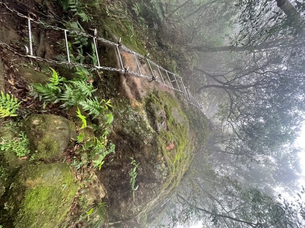 皇帝殿202603293035830