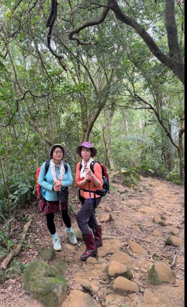 大艽芎古道縱走 新/溪州山(小百岳#23) 出溪州公園2893985