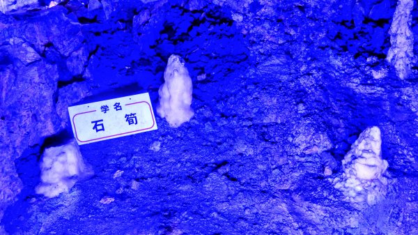 地心年輪之飛驒大鐘乳石洞2982425